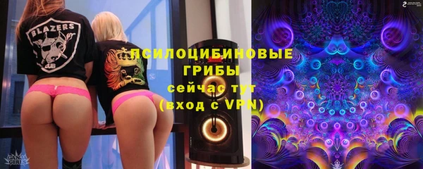 метадон Гусев