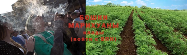 метадон Гусев