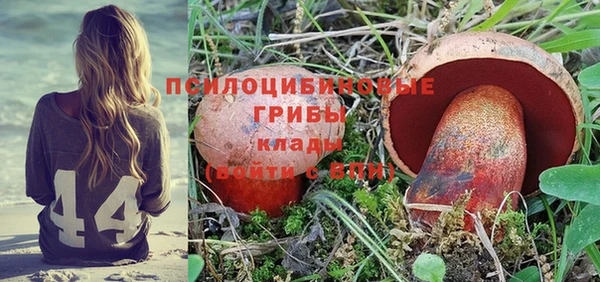 мескалин Гусь-Хрустальный