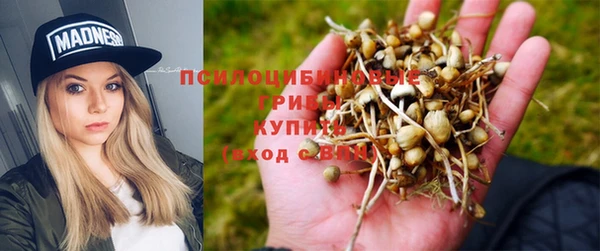 скорость Гусиноозёрск