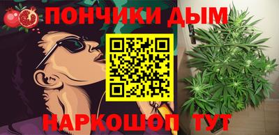 гидропоника Канаш