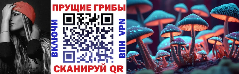 Галлюциногенные грибы MAGIC MUSHROOMS Протвино