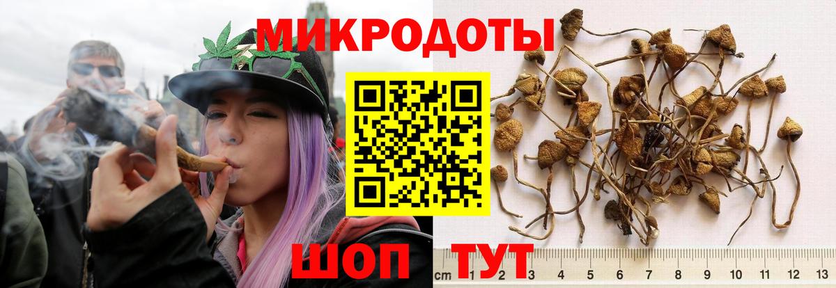 Протвино  Галлюциногенные грибы прущие грибы  цены наркотик  Вход с VPN 